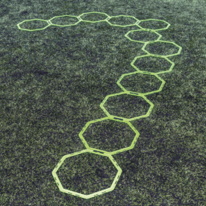 Octa Ring System (Set of 12)