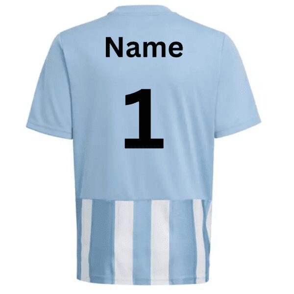 Core Soccer Academy Striped Jersey Blue