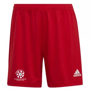 Newmarket Celtic Entrada 22 Shorts
