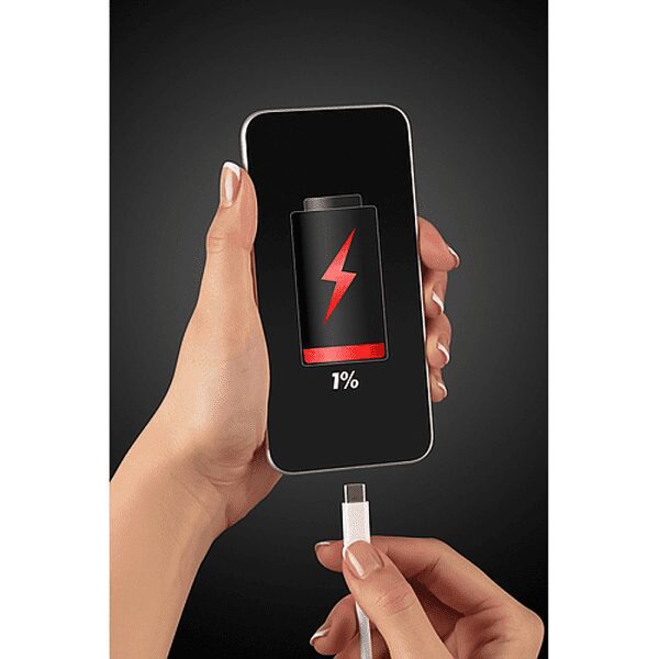 2 in 1 Hand Warmer & Powerbank