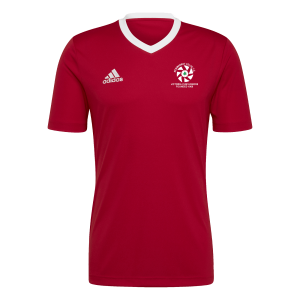 Newmarket Celtic Entrada 22 Jersey Red