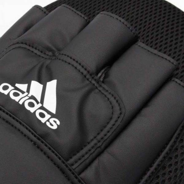 Boxing Gloves and Focus Mitts