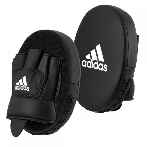Boxing Gloves and Focus Mitts