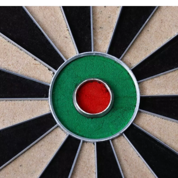 Eclipse Pro Bristle Dartboard