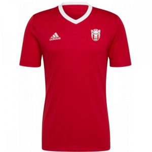 Moyne Rangers Entrada 22 Training Jersey