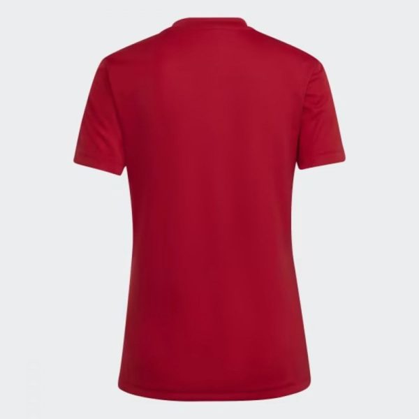 Moyne Rangers Entrada 22 Training Jersey