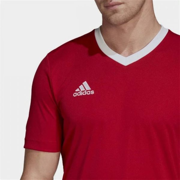 Moyne Rangers Entrada 22 Training Jersey