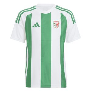 Keadue Rovers Striped 24 Jersey Green/White