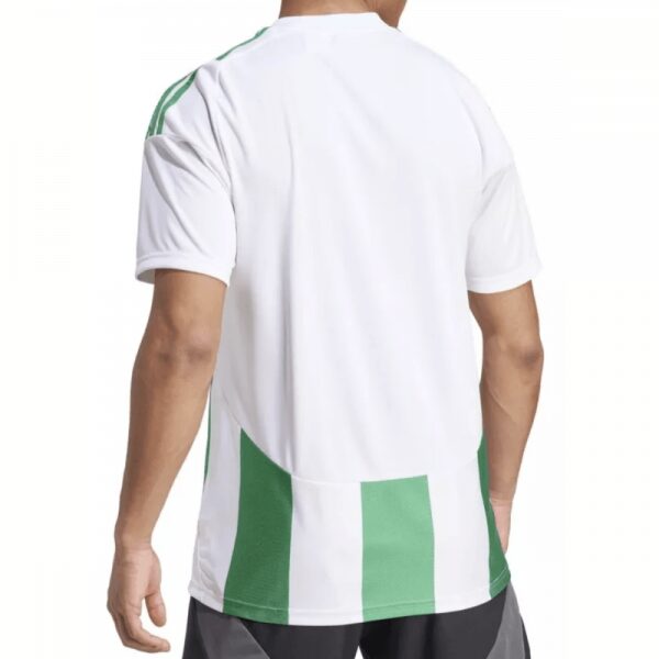 Keadue Rovers Striped 24 Jersey Green/White
