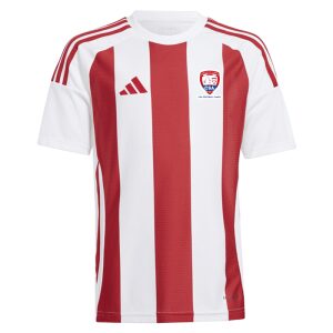 Core Soccer Academy Striped 24 SS Jersey