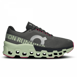 Womens Cloudmonster 2 Running Shoes