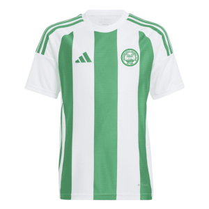 Castlefinn Celtic Striped 24 Jersey Green/White