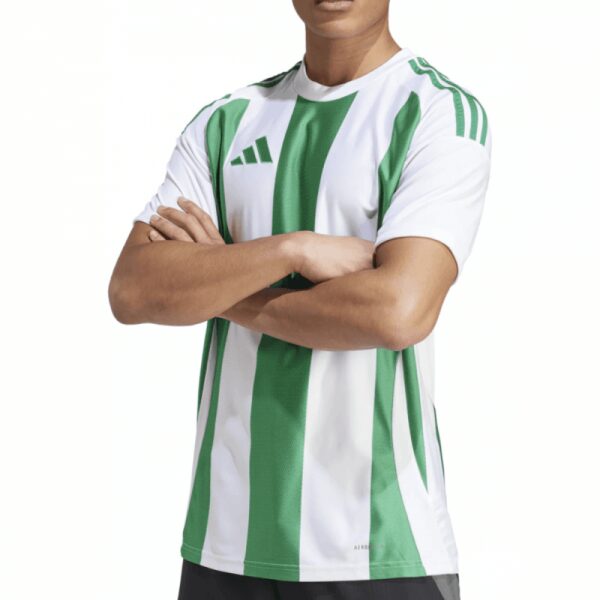 Castlefinn Celtic Striped 24 Jersey Green/White