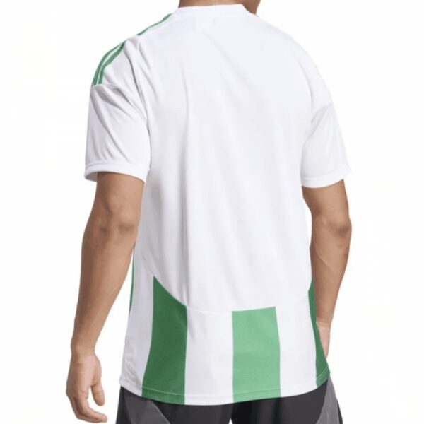 Castlefinn Celtic Striped 24 Jersey Green/White