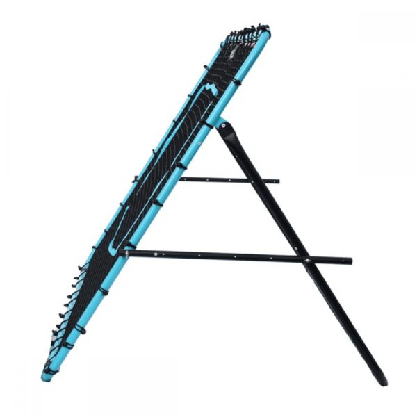 Play Mega Rebounder