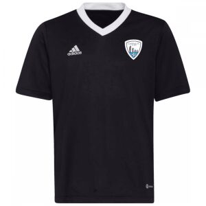 Adidas Teamwear Castlelack FC FC Entrada 22 Jersey Black