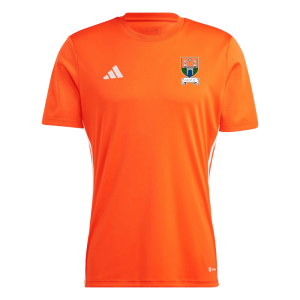 Innishvilla AFC Tabela 23 Jersey