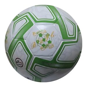 Bonagee United Club Football