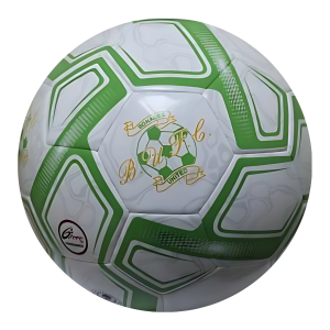 Bonagee United Club Football
