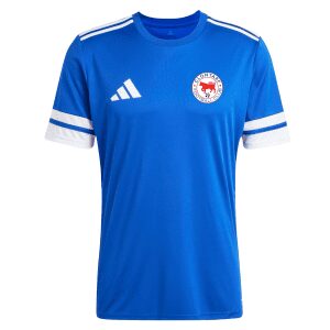 Clontarf FC Adult Squadra 25 Jersey