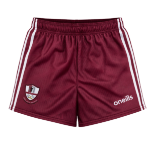 Letterkenny Gaels GAA Shorts