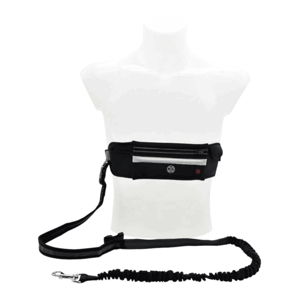 LED Dog Lead Running Belt