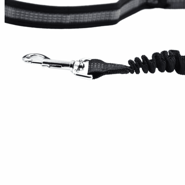 LED Dog Lead Running Belt