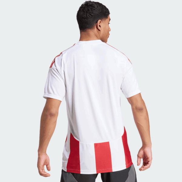Adults Striped 24 Jersey