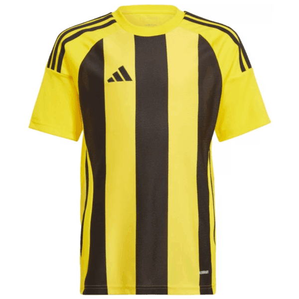 Adults Striped 24 Jersey