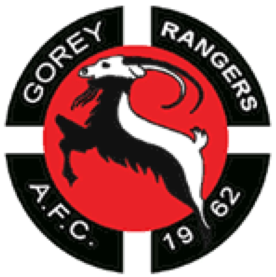 Gorey Rangers FC History