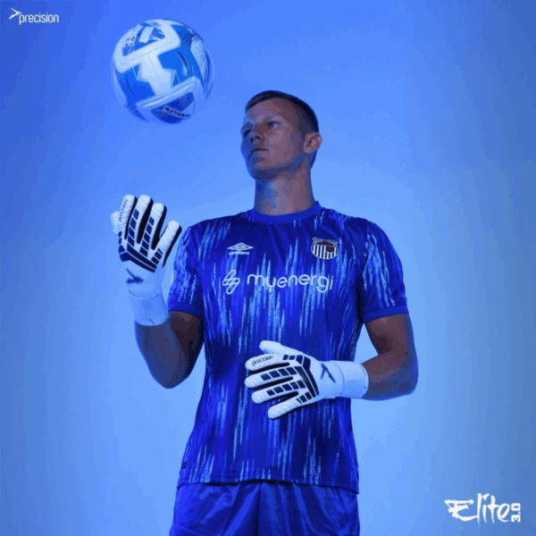 Elite 3.0 Giga Adult Goalkeeper Gloves