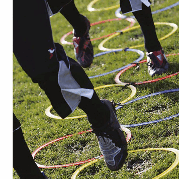 Speed Agility Hoop Ladder