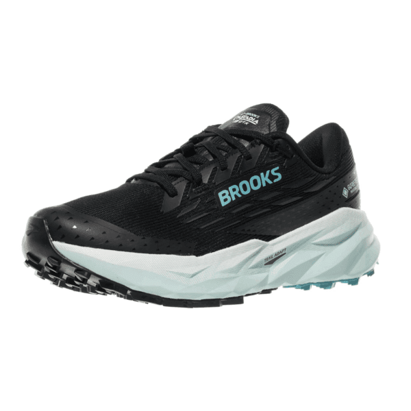 Womens Cascadia 19 GTX Running Shoes
