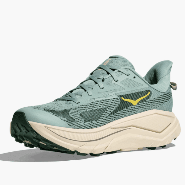 Mens Challenger 8 Running Shoes