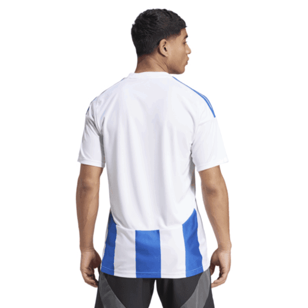 Glen Rovers Adult Striped 24 SS Jersey