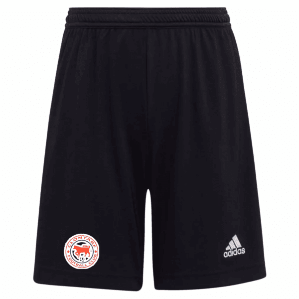 Clontarf FC Adults Entrada 22 Shorts