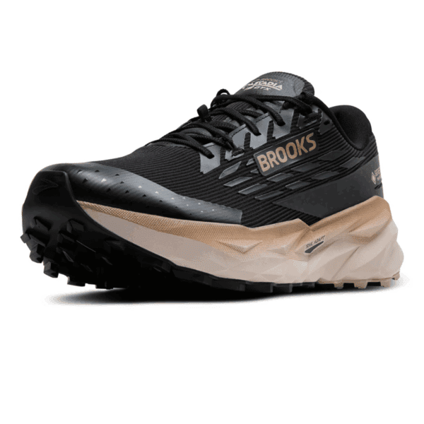 Mens Cascadia 19 GTX Black Running Shoes