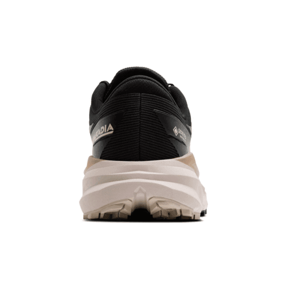 Mens Cascadia 19 GTX Black Running Shoes
