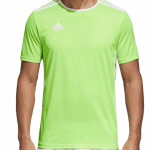 Kids Entrada 18 Green Jersey