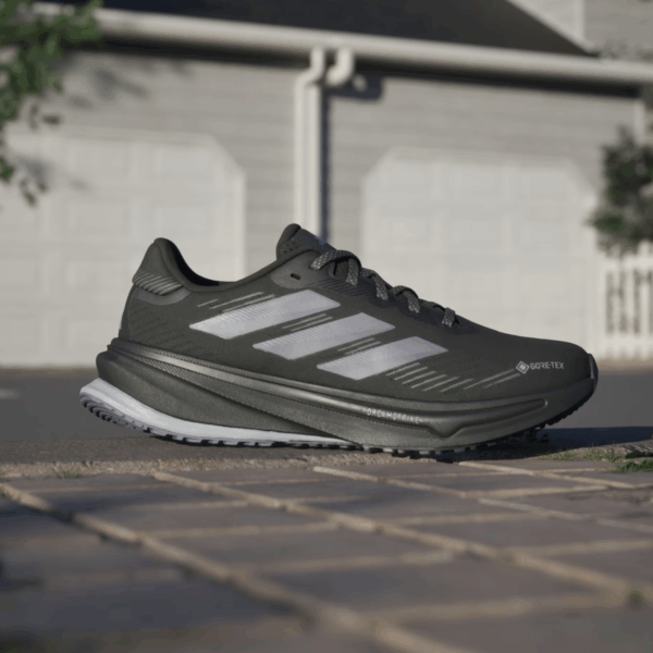 Womens Supernova Rise GTX Running Shoes