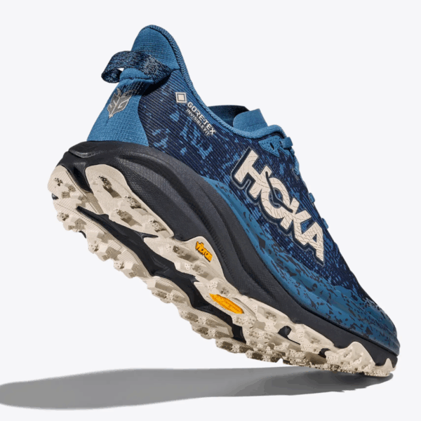 Mens Speedgoat 6 GTX Running Shoes