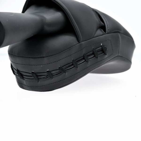 Focus Mitts V2
