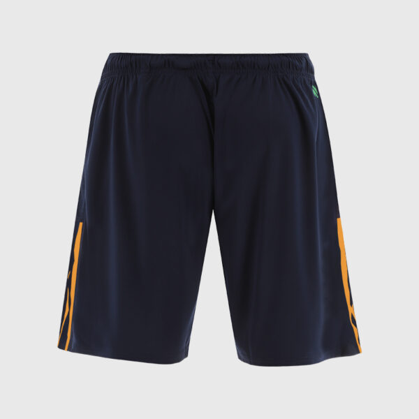 Mens Donegal GAA Hydra 049 Shorts