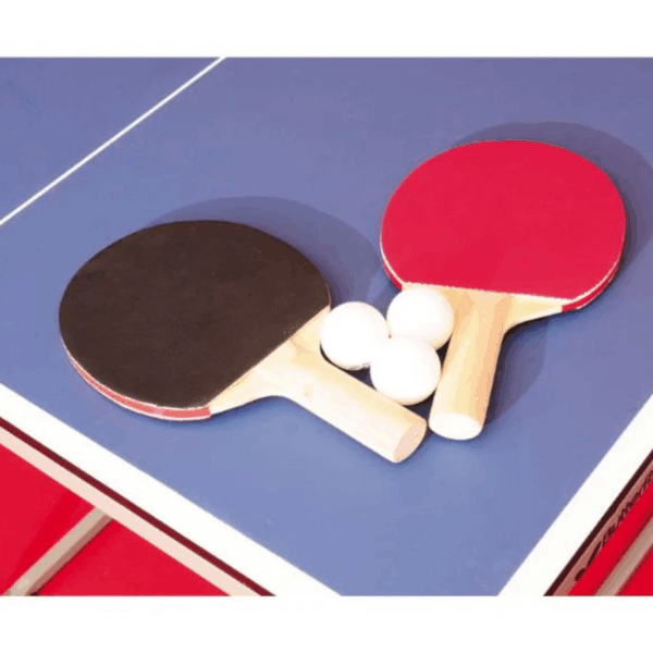 Starter Table Tennis Table with Accessories