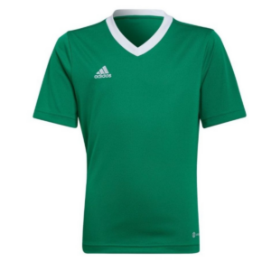 Kids Entrada 22 Green Jersey