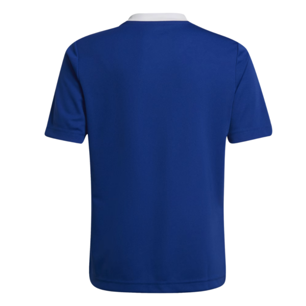 Kids Entrada 22 Blue Jersey