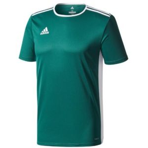Kids Entrada 18 Green Jersey
