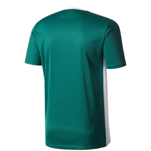 Kids Entrada 18 Green Jersey