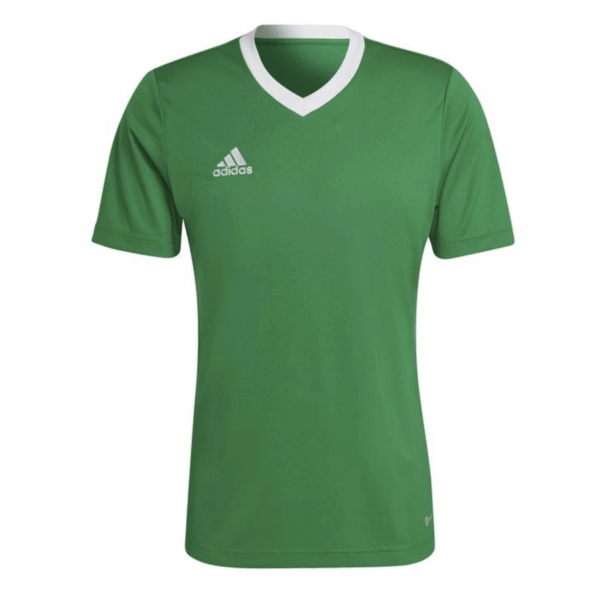Mens Entrada 22 Green Jersey