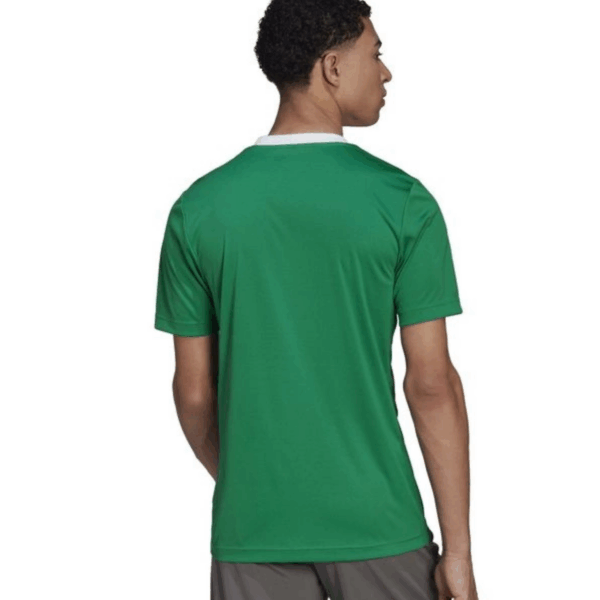 Mens Entrada 22 Green Jersey